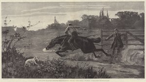 Sur les collines et les dunes